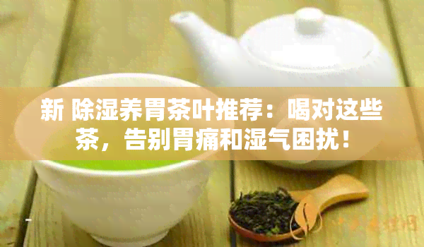 新 除湿养胃茶叶推荐：喝对这些茶，告别胃痛和湿气困扰！