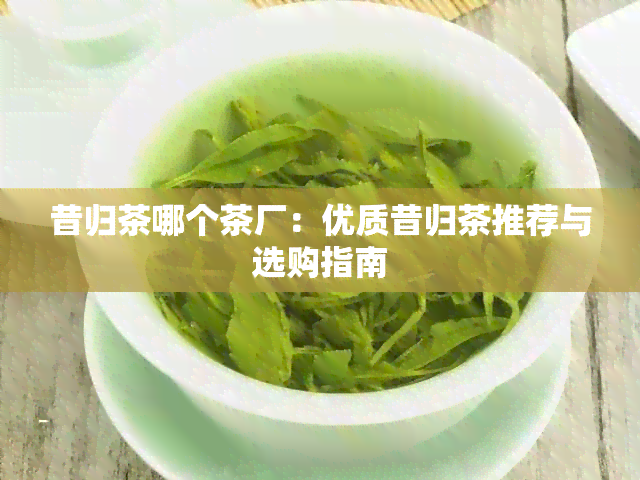 昔归茶哪个茶厂：优质昔归茶推荐与选购指南