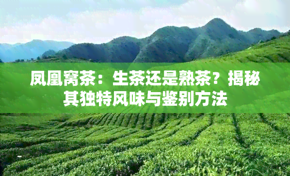 凤凰窝茶：生茶还是熟茶？揭秘其独特风味与鉴别方法