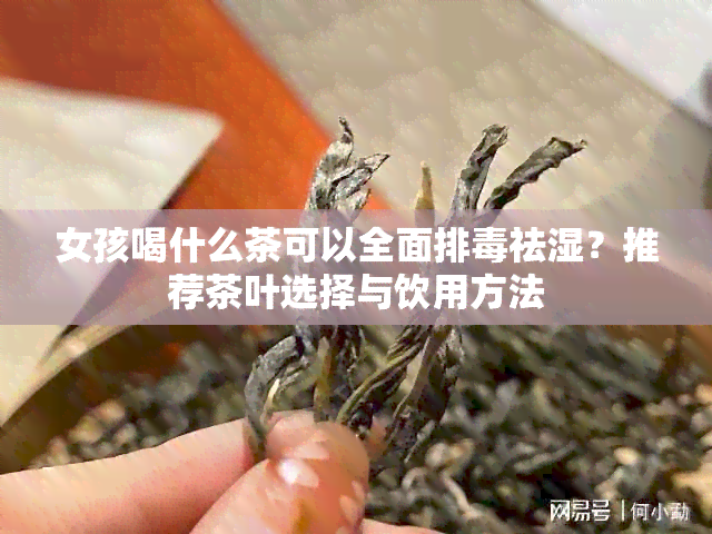 女孩喝什么茶可以全面排祛湿？推荐茶叶选择与饮用方法