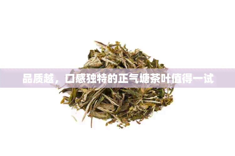 品质越，口感独特的正气塘茶叶值得一试