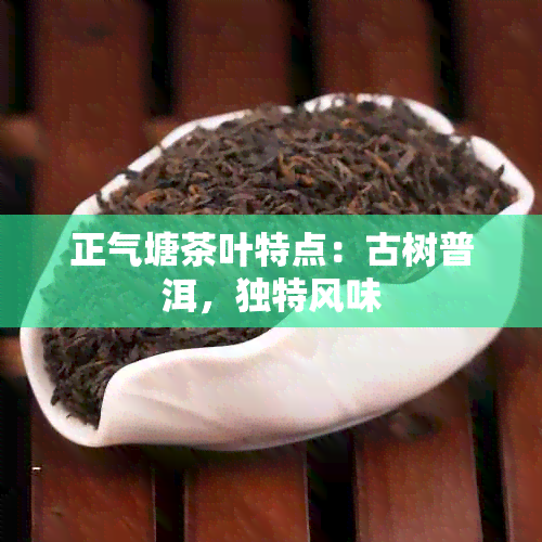 正气塘茶叶特点：古树普洱，独特风味