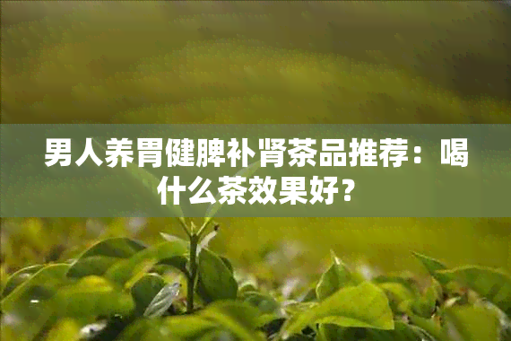 男人养胃健脾补肾茶品推荐：喝什么茶效果好？