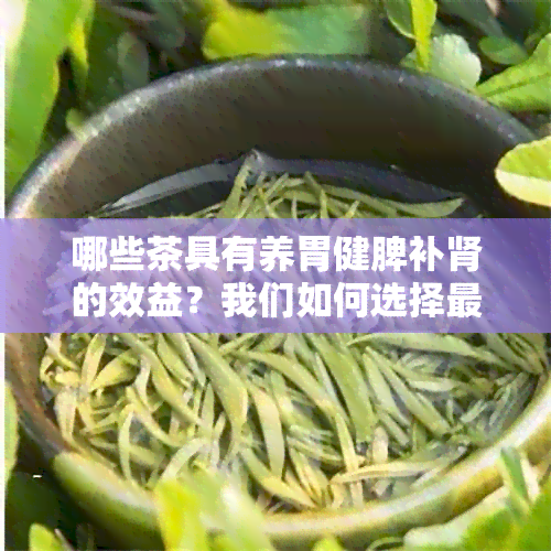 哪些茶具有养胃健脾补肾的效益？我们如何选择最适合的茶品？