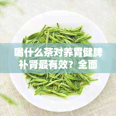 喝什么茶对养胃健脾补肾最有效？全面解析茶的种类及其功效