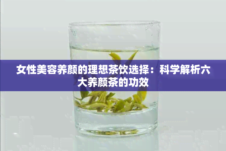 女性美容养颜的理想茶饮选择：科学解析六大养颜茶的功效