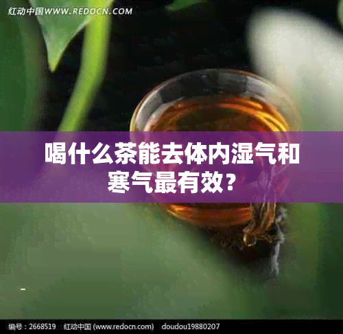 喝什么茶能去体内湿气和寒气最有效？