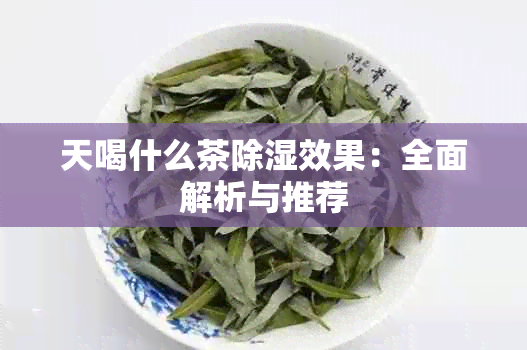 天喝什么茶除湿效果：全面解析与推荐