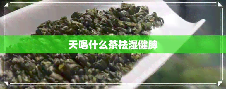 天喝什么茶祛湿健脾