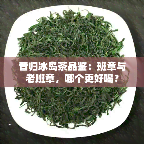 昔归冰岛茶品鉴：班章与老班章，哪个更好喝？