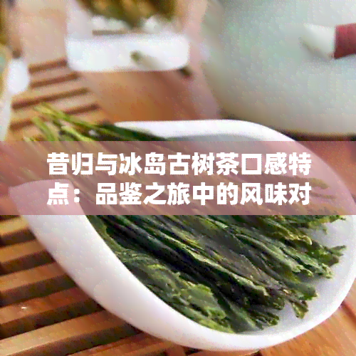 昔归与冰岛古树茶口感特点：品鉴之旅中的风味对比与鉴技巧