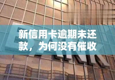 新信用卡逾期未还款，为何没有电话？探究原因及解决方法。