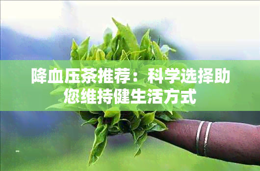 降血压茶推荐：科学选择助您维持健生活方式