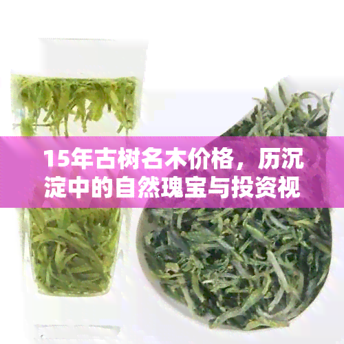 15年古树名木价格，历沉淀中的自然瑰宝与投资视角