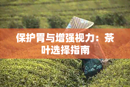 保护胃与增强视力：茶叶选择指南