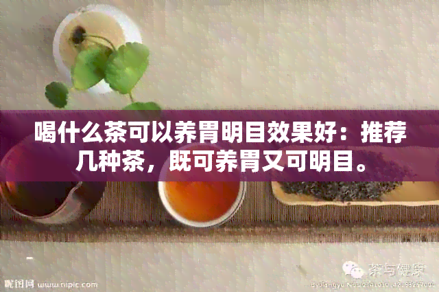 喝什么茶可以养胃明目效果好：推荐几种茶，既可养胃又可明目。