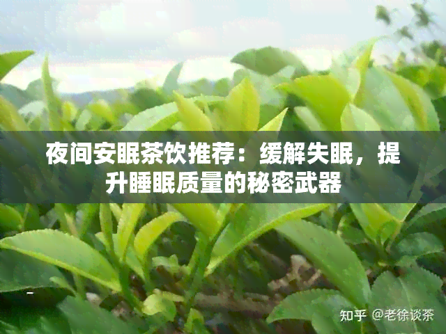 夜间安眠茶饮推荐：缓解失眠，提升睡眠质量的秘密武器