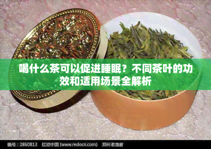 喝什么茶可以促进睡眠？不同茶叶的功效和适用场景全解析