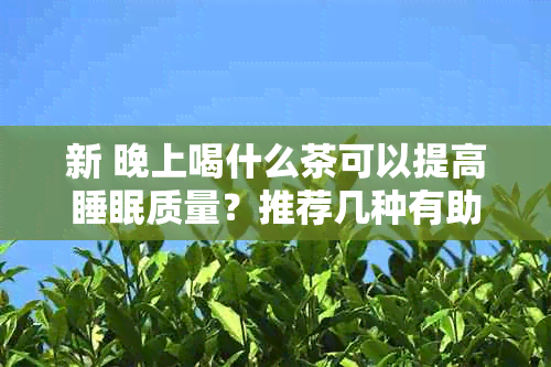 新 晚上喝什么茶可以提高睡眠质量？推荐几种有助于入睡的茶叶