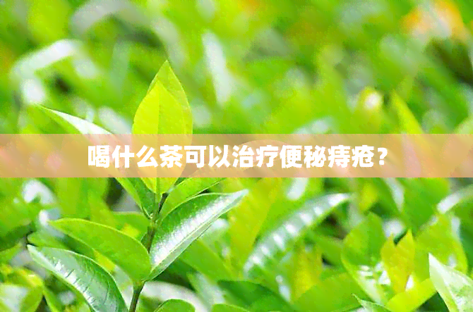 喝什么茶可以治疗便秘痔疮？