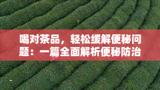 喝对茶品，轻松缓解便秘问题：一篇全面解析便秘防治茶饮的文章