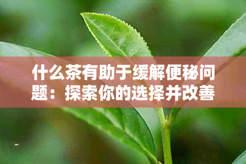 什么茶有助于缓解便秘问题：探索你的选择并改善排便惯