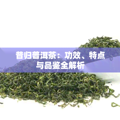 昔归普洱茶：功效、特点与品鉴全解析