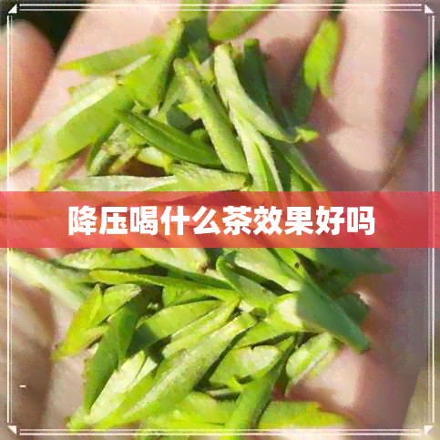 降压喝什么茶效果好吗