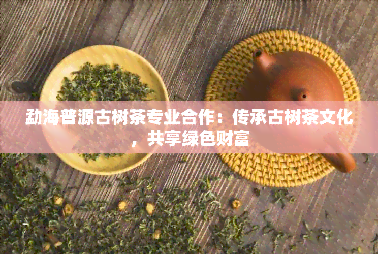 勐海普源古树茶专业合作：传承古树茶文化，共享绿色财富