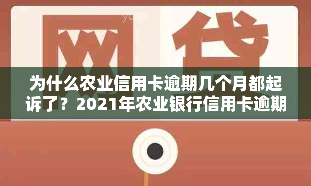 为什么农业信用卡逾期几个月都起诉了？2021年农业银行信用卡逾期新法规