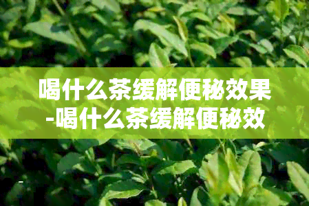 喝什么茶缓解便秘效果-喝什么茶缓解便秘效果的