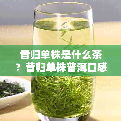 昔归单株是什么茶？昔归单株普洱口感独特，昔归单珠香气浓。