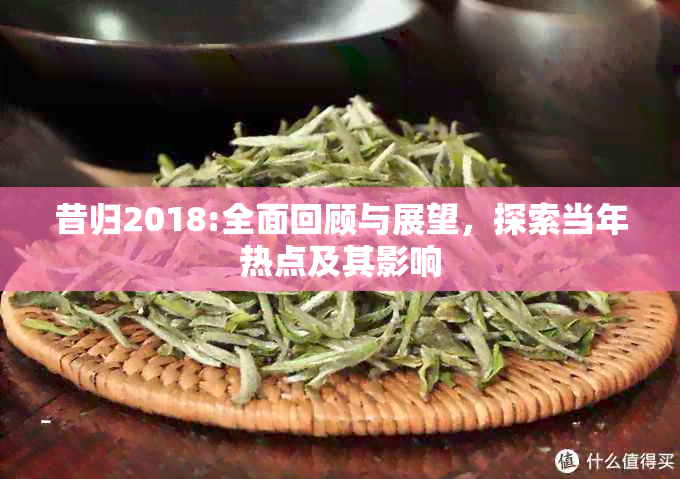 昔归2018:全面回顾与展望，探索当年热点及其影响