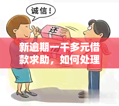 新逾期一千多元借款求助，如何处理？