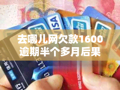 去哪儿网欠款1600逾期半个多月后果分析