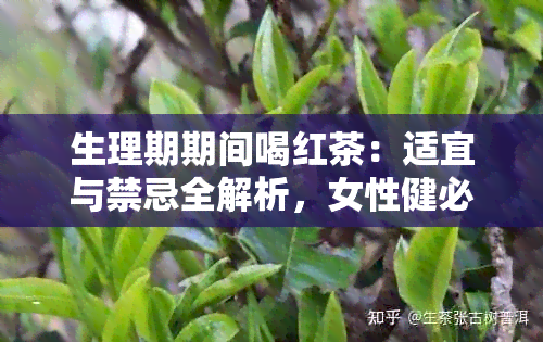 生理期期间喝红茶：适宜与禁忌全解析，女性健必看！