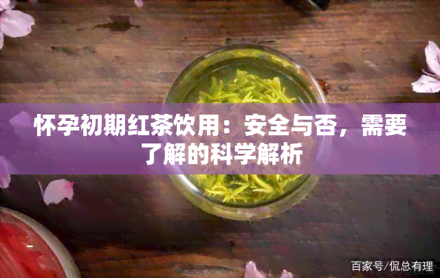 怀孕初期红茶饮用：安全与否，需要了解的科学解析