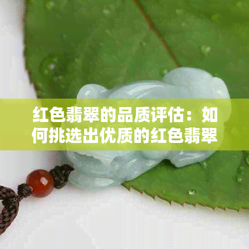 红色翡翠的品质评估：如何挑选出优质的红色翡翠？