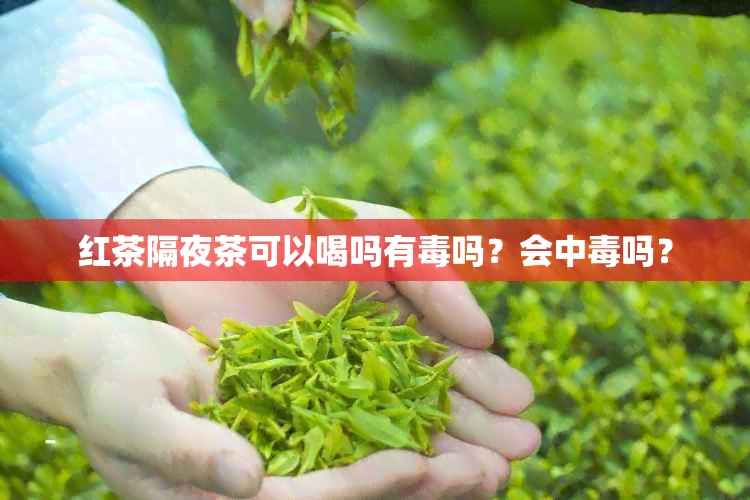 红茶隔夜茶可以喝吗有吗？会中吗？