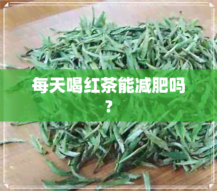 每天喝红茶能减肥吗?