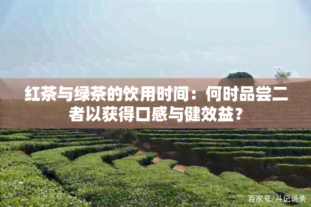 红茶与绿茶的饮用时间：何时品尝二者以获得口感与健效益？