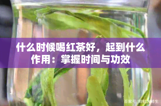 什么时候喝红茶好，起到什么作用：掌握时间与功效