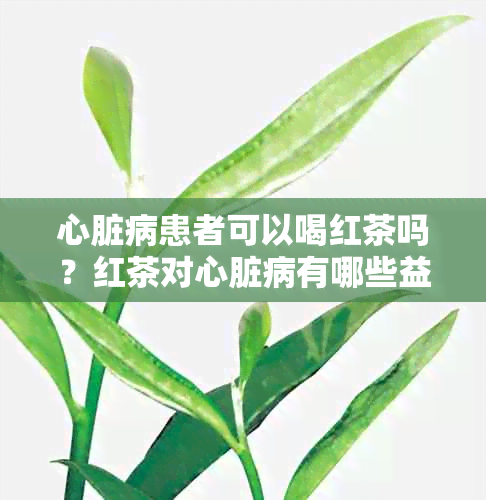 心脏病患者可以喝红茶吗？红茶对心脏病有哪些益处和注意事项？