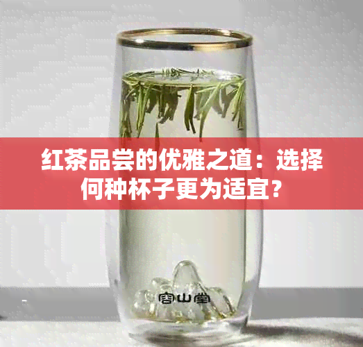 红茶品尝的优雅之道：选择何种杯子更为适宜？