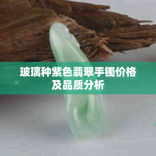 玻璃种紫色翡翠手镯价格及品质分析