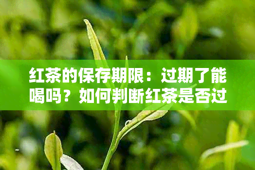 红茶的保存期限：过期了能喝吗？如何判断红茶是否过期？