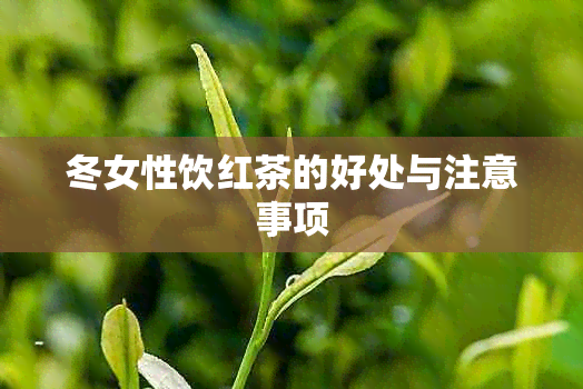 冬女性饮红茶的好处与注意事项