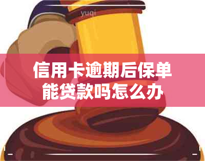 信用卡逾期后保单能贷款吗怎么办