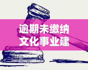 逾期未缴纳文化事业建设费的罚款处理方式探讨