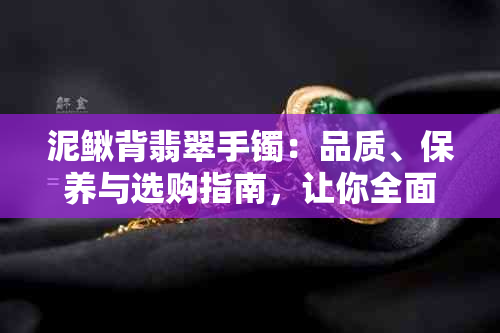 泥鳅背翡翠手镯：品质、保养与选购指南，让你全面了解如何选择和使用